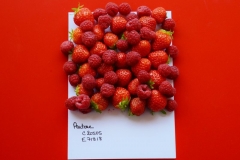 201305_rouge_02_rd