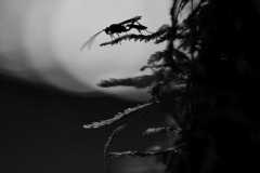 201309_nb_02_rd