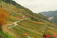 201310_paysage_02_rd