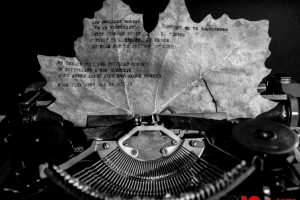 2014-11 Feuille