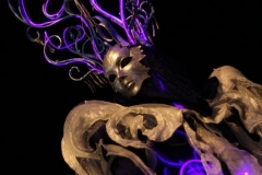 201512_photo_de_nuit_02_rd