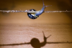 201604_sur_le_fil_01_rd