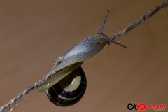 201604_sur_le_fil_02_rd