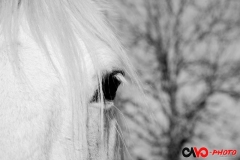 201711_vu_de_pres_02b_rd