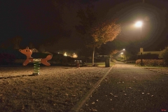 201811_nuit_et_brouillard_rd_03