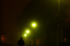 201811_nuit_et_brouillard_rd_07