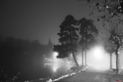 201811_nuit_et_brouillard_rd_10