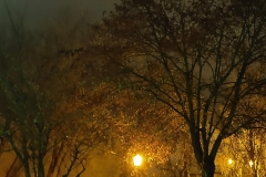 201811_nuit_et_brouillard_rd_11