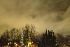 201811_nuit_et_brouillard_rd_12