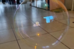 201812_Bulles_07_rd