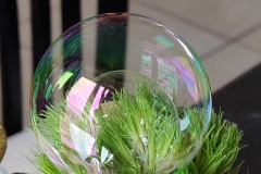 201812_Bulles_09_rd
