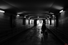 201901_valise_05_rd