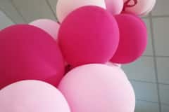 202310-Cavo-Photo-Rose-08