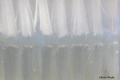 IMG_9548