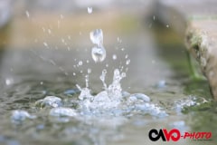 03_a_toute_vitesse_cavo-photo