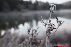 03_givre_cavo-photo