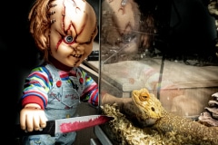 202510_CAVOPHOTO_HORREUR_02_13