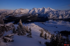 Philippe-Journet_2_rd