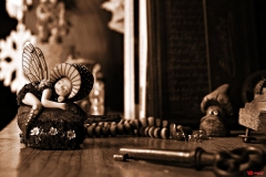 Vanessa-Goncalves_4b_rd