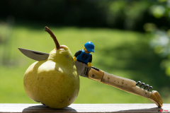 couper_la_poire_en_deux_rd