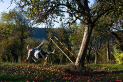 tomber_dans_les_pommes_rd